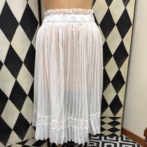 Sheer Pleated Skirt